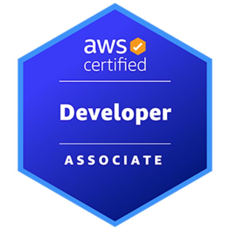 AWS Developer Associate Level